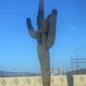 Meet your Posher, Florinda